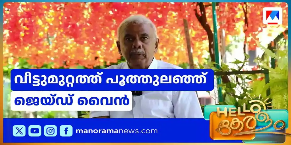 വിദേശ രാജ്യങ്ങളിൽ പൂത്തുലഞ്ഞ് കാണാറുളള ജെയ്ഡ് വൈൻ നമ്മുടെ നാട്ടിലും പൂത്തു | jaid wine