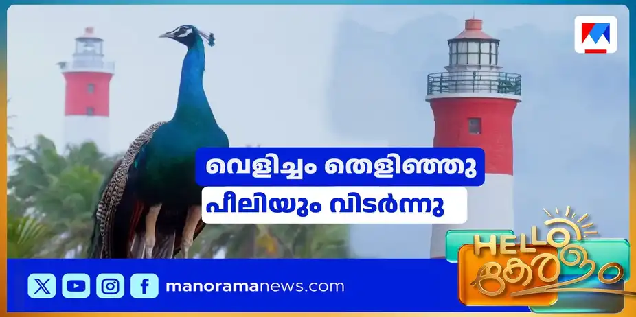 ദീപപ്രഭയിൽ തിളങ്ങിയ ലൈറ്റ് ഹൗസ് കാണാൻ അപ്രതീക്ഷിത അതിഥി| light house