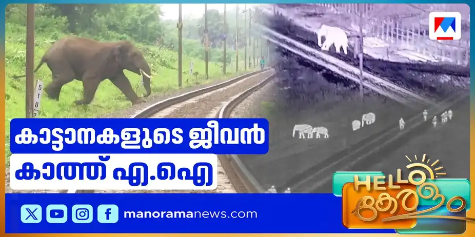 കാട്ടാനകളുടെ ജീവന് കാത്ത് എ.ഐ; രക്ഷിച്ചത് പതിനായിരത്തിലേറെ ആനകളെ | Elephant