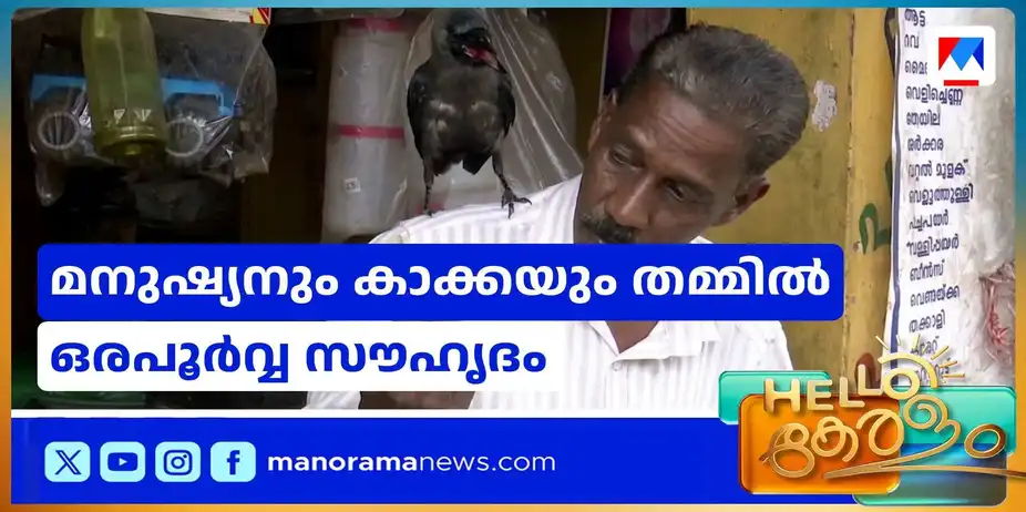 പരുക്കേറ്റ കാക്കയെ രക്ഷിച്ചു; ഒരപൂര്വ സൗഹൃദത്തിന്റെ കഥ | Friendship