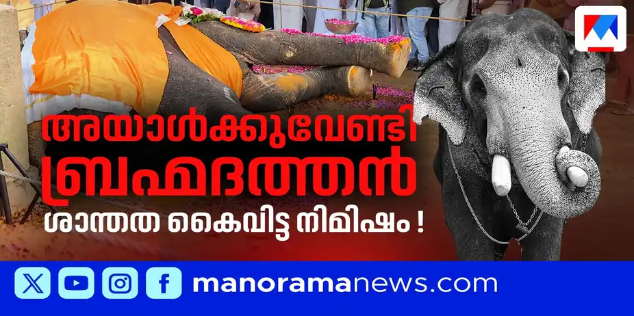 പൊട്ടിക്കരഞ്ഞ് ബ്രഹ്മദത്തന്റെ ആരാധകര്; ഓര്മകളില് ചരിയില്ല, പല്ലാട്ട് ബ്രഹ്മദത്തന്... | Pallattu Brahmadathan