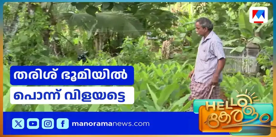 നാട്ടില് കൃഷി ഭൂമികള് നിറയട്ടെ; പച്ചപ്പിനെ ഹൃദയത്തോട് ചേര്ത്ത് അനില് | Farming
