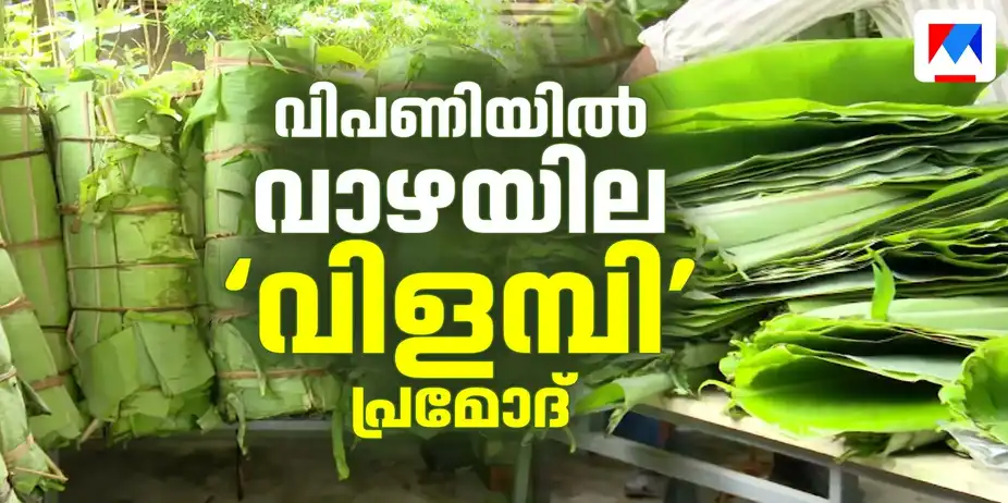 വിപണിയില് വാഴയില ‘വിളമ്പി’ പ്രമോദ്; ഇത്തവണയെത്തിച്ചത് 5 ലക്ഷം വാഴയിലകള് | Banana Leaf
