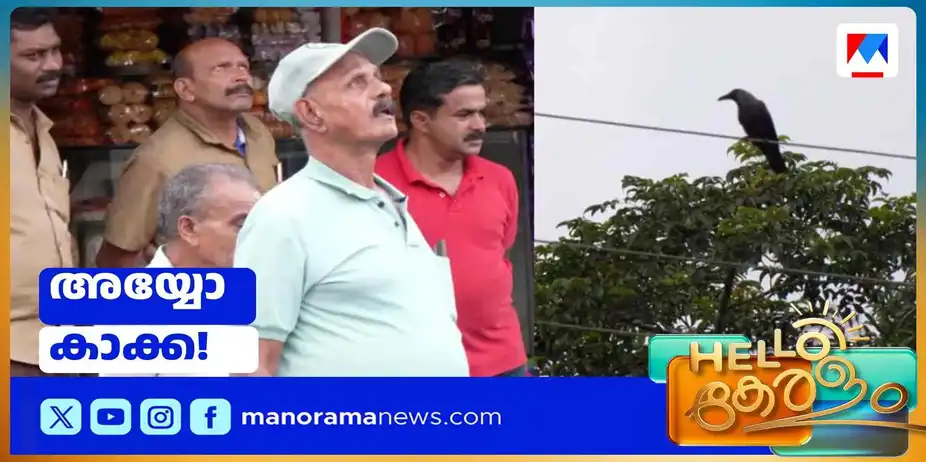 കാക്കയെപ്പേടിച്ച് നടക്കാന്വയ്യ; നാല്വര്സംഘത്തിന്റെ ഉറക്കം കെടുത്തുന്ന 'ഡിറ്റക്ടീവ്' കാക്ക | Kaakka