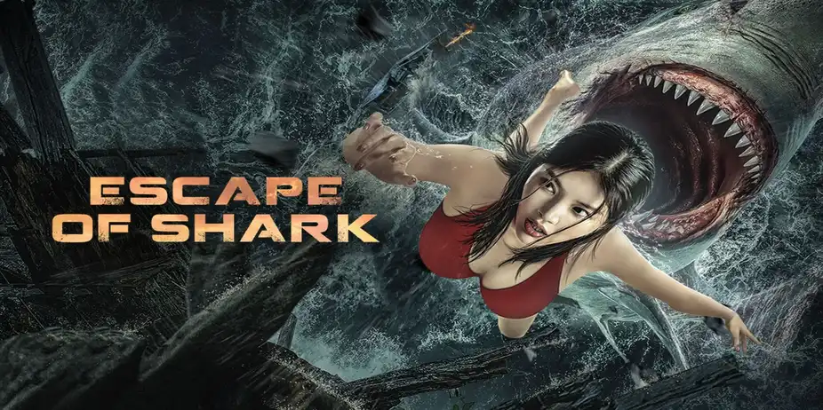 Escape of Shark
