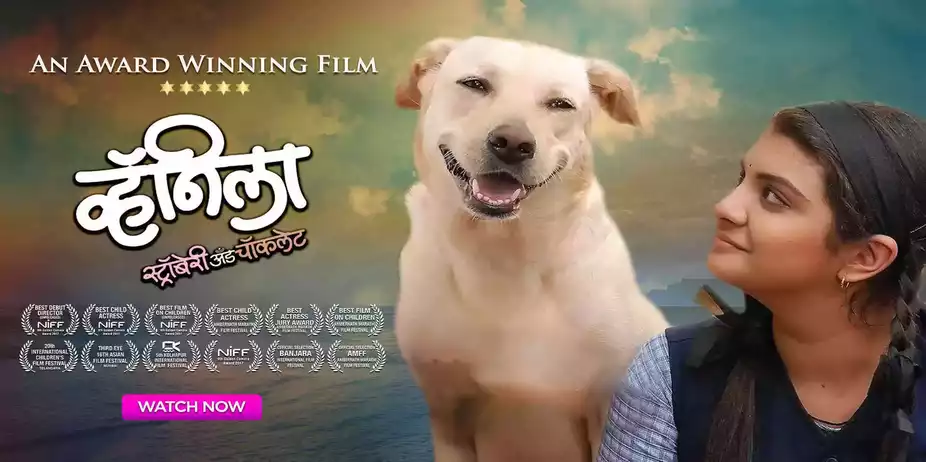 Vanilla, Strawberry & Chocolate