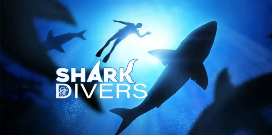 Shark Divers