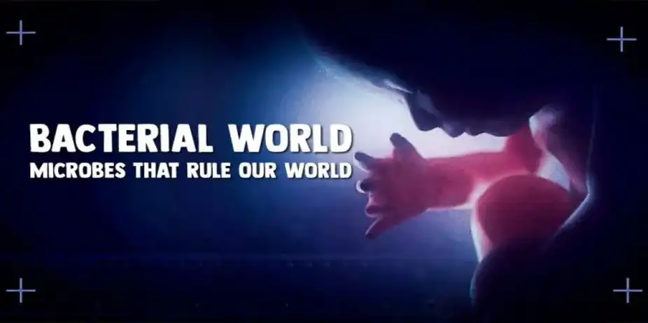 Bacterial World - Microbes That Rule Our World