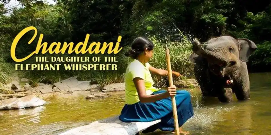 Chandani - The Daughter of the Elephant Whisperer