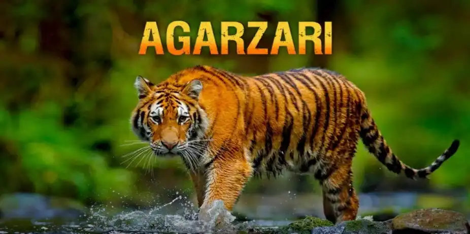 Agarzari