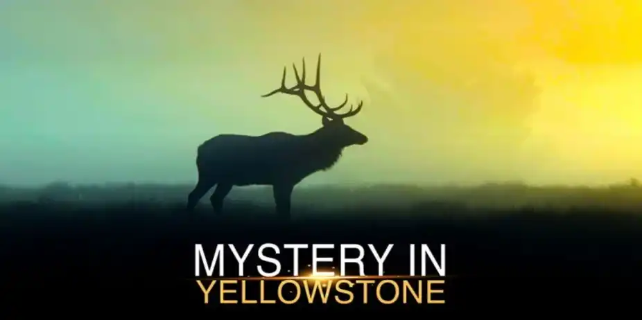 Mystery in Yellowstone