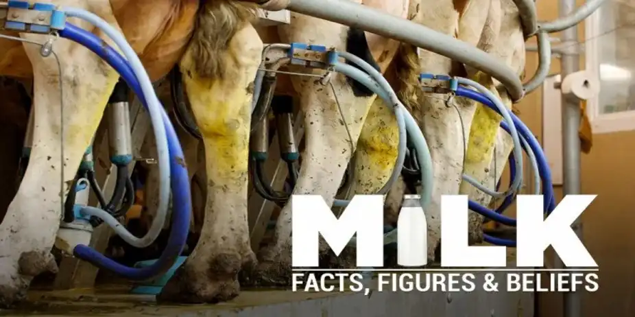 Milk - Facts, Figures & Beliefs
