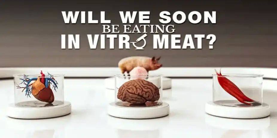 WILL WE SOON BE EATING IN VITRO MEAT?