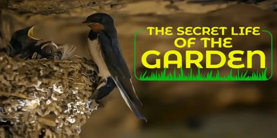 The Secret Life of the Garden