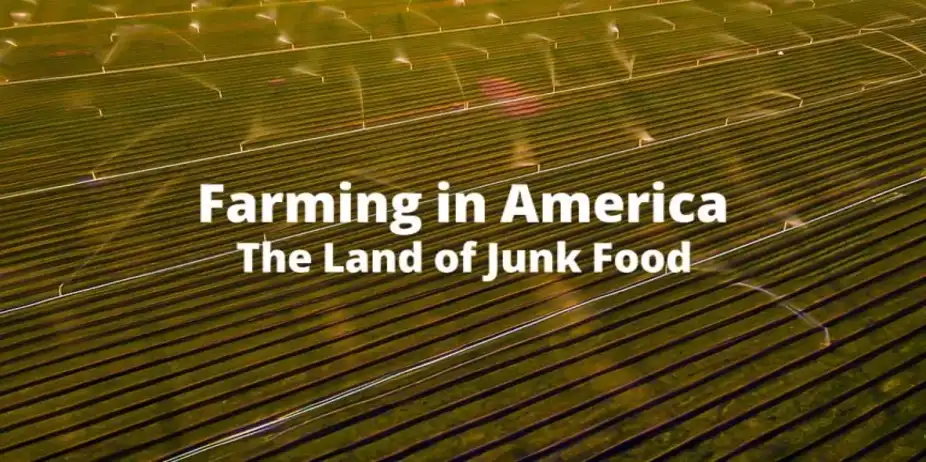 Farming in America The Land of Junk Food