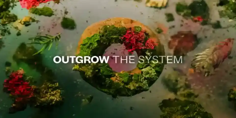 OUTGROW THE SYSTEM