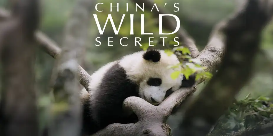 China's Wild Secrets
