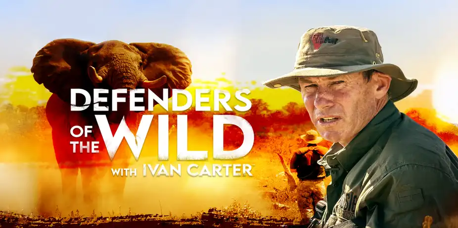 Defenders of The Wild