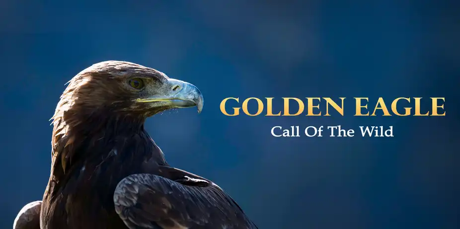 Golden Eagle: Call Of The Wild