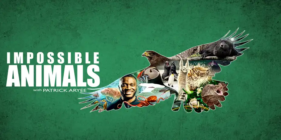 Impossible Animals