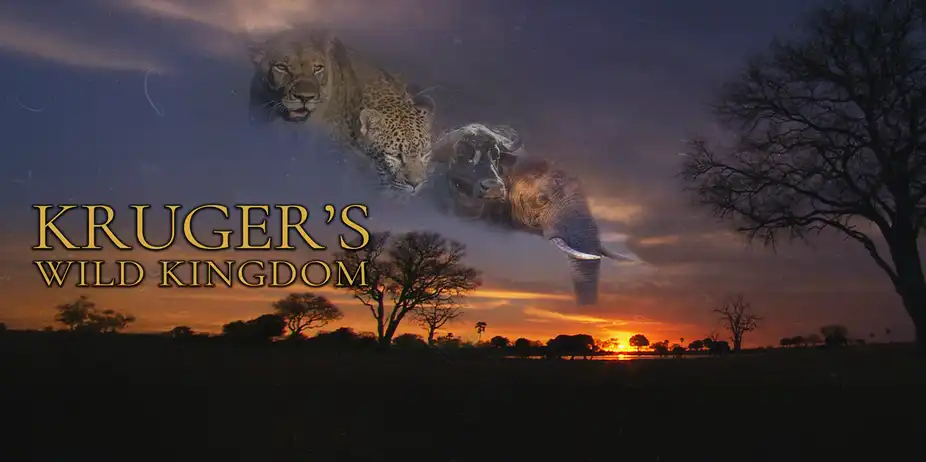 Kruger’s Wild Kingdom
