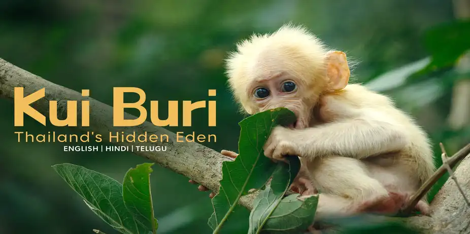 Kui Buri - Thailand's Hidden Eden