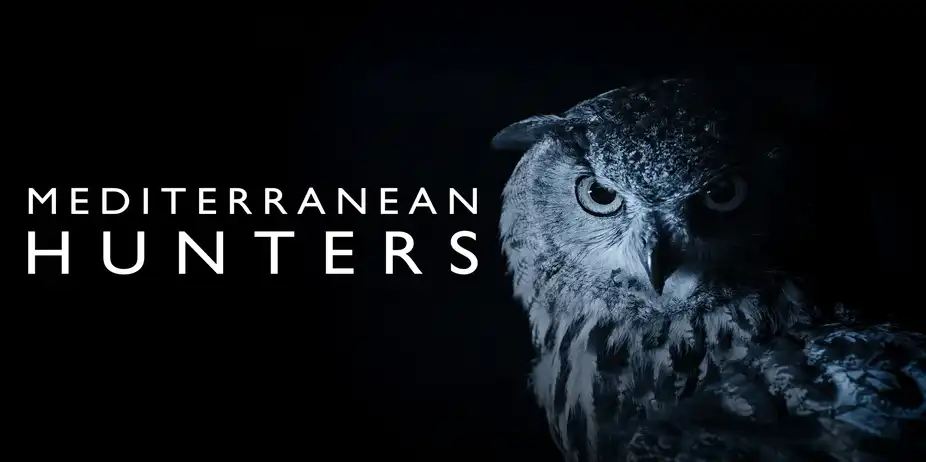 Mediterranean Hunters