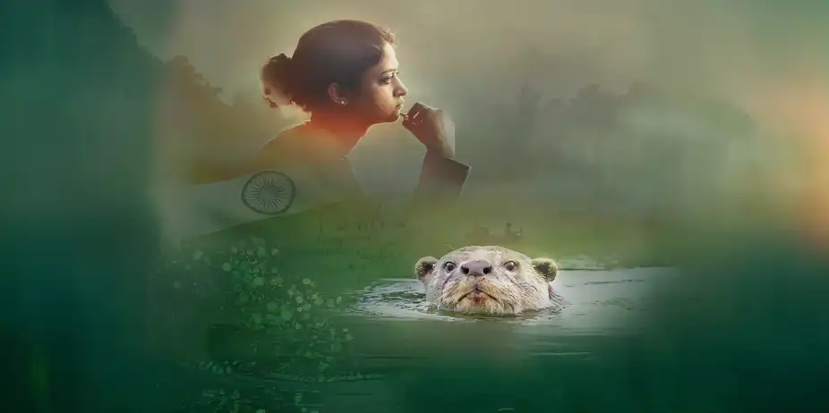My Otter Diary