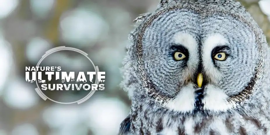 Nature's Ultimate Survivors