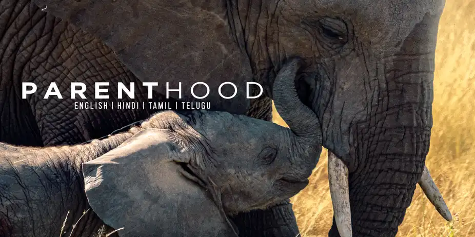 Parenthood