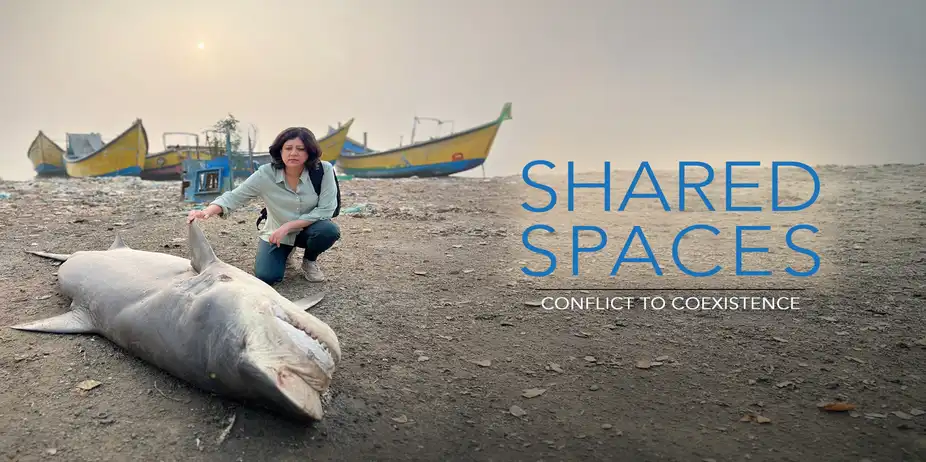 Shared Spaces