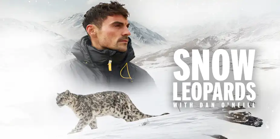 Snow Leopards with Dan O'Neill