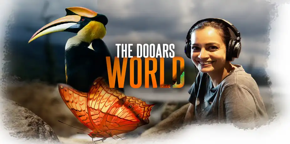 The Dooars World