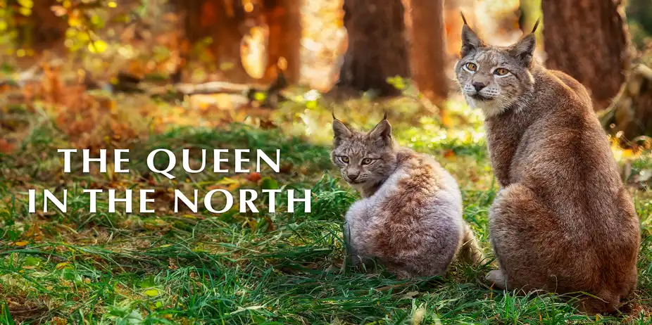 The Queen in the North