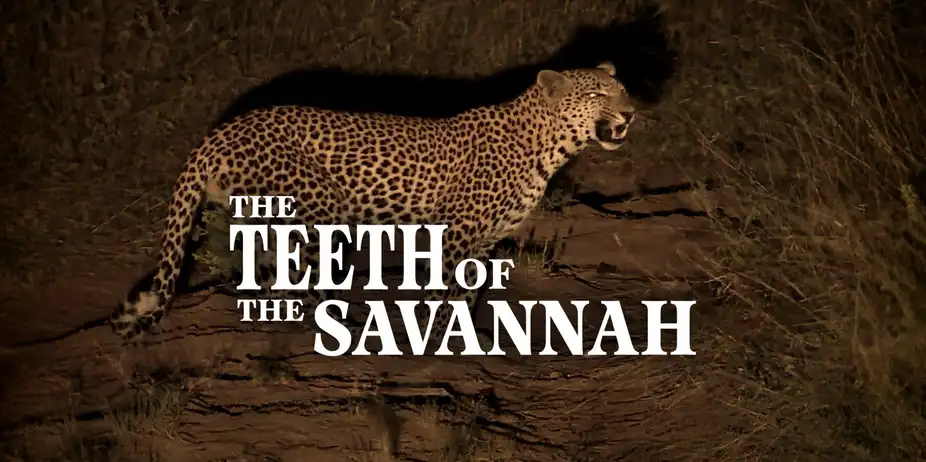 The Teeth of the Savannah