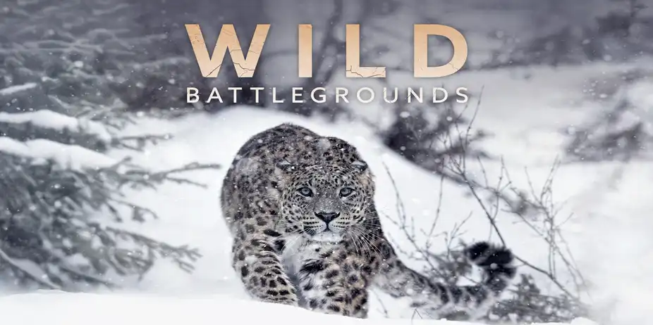 Wild Battlegrounds