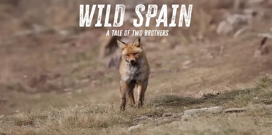 Wild Spain: A Tale of Two Brothers