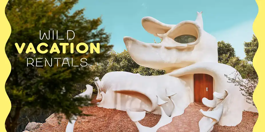 Wild Vacation Rentals