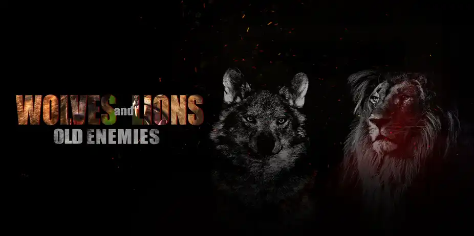 Wolves & Lions: Old Enemies