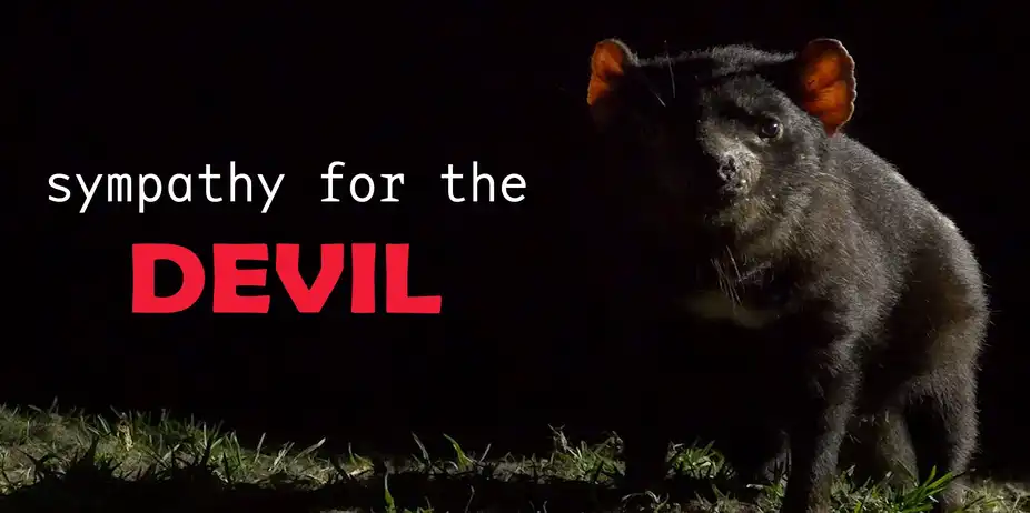 SYMPATHY FOR THE DEVIL