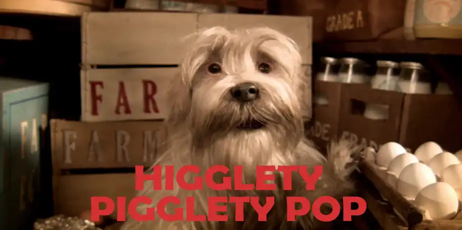 HIGGLETY PIGGLETY POP