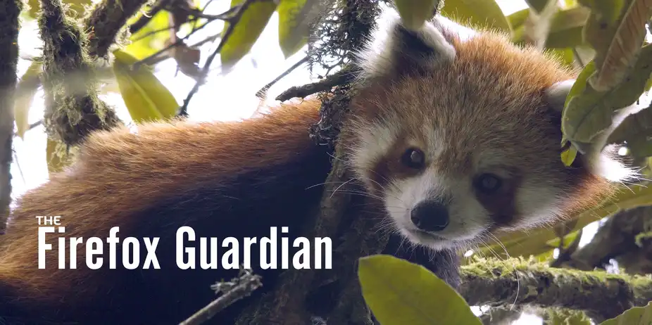 THE FIREFOX GUARDIAN
