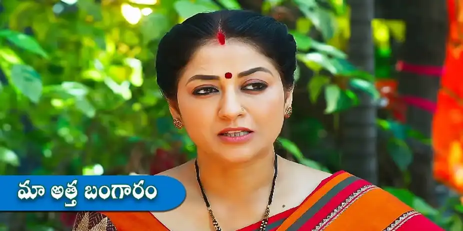 Maa Attha Bangaram S1 E325 - Epi 325