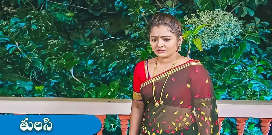 Tulasi S1 E216 - Epi 216