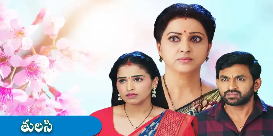 Tulasi S1 E243 - Epi 243