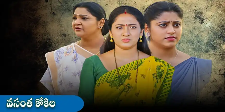Vasantha Kokila S1 E219 - Epi 219