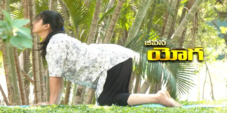 Jeevana Yoga S1 E216 - Epi 216