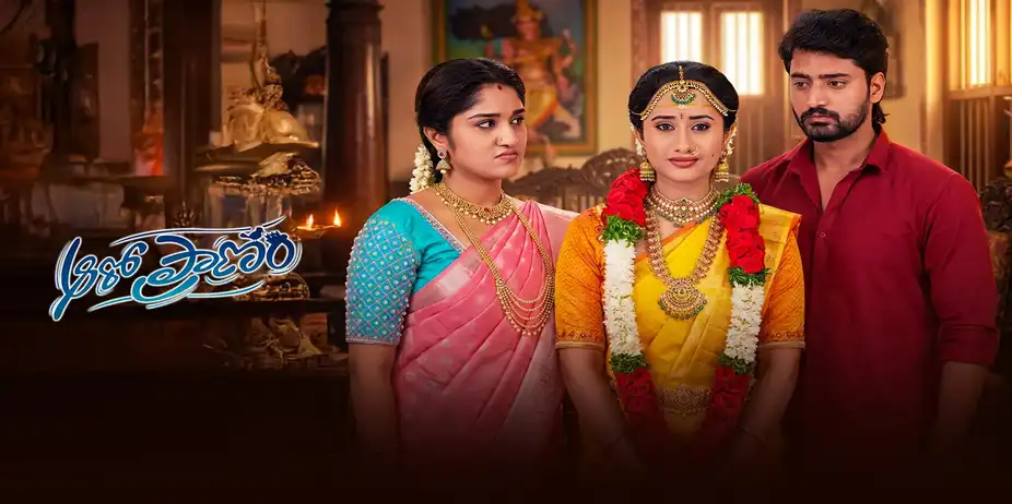 Aaro Pranam S1 E207 - Epi 207