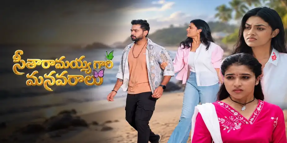 Seetharamayyagaari Manavaraalu S1 E14 - Epi 14