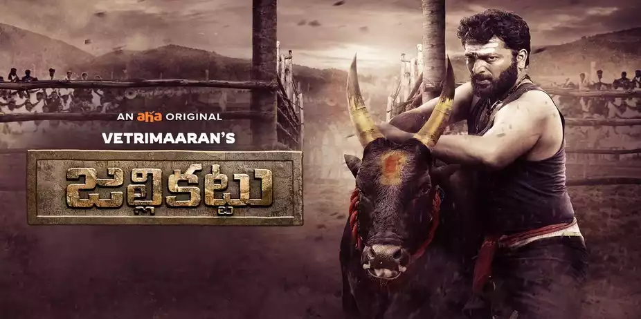 Vetrimaaran's Jallikattu